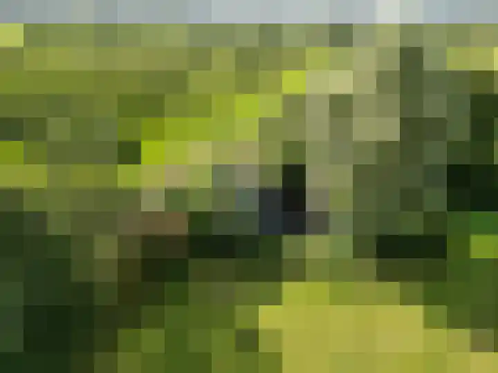 Kaleweg 27 Opende thumbnail 84