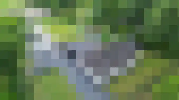 Kaleweg 9 Opende thumbnail 102