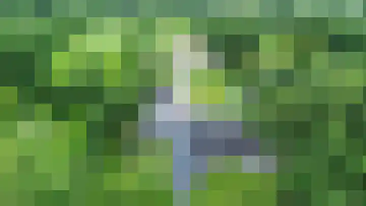 Kaleweg 9 Opende thumbnail 103