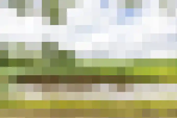 Kaleweg 9 Opende thumbnail 104