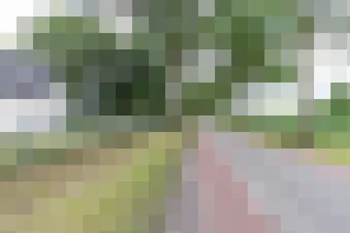Kaleweg 9 Opende thumbnail 106