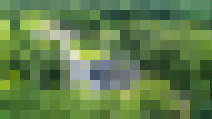 Kaleweg 9 Opende thumbnail 113