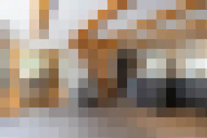 Kaleweg 9 Opende thumbnail 30