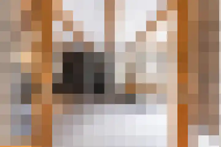 Kaleweg 9 Opende thumbnail 46