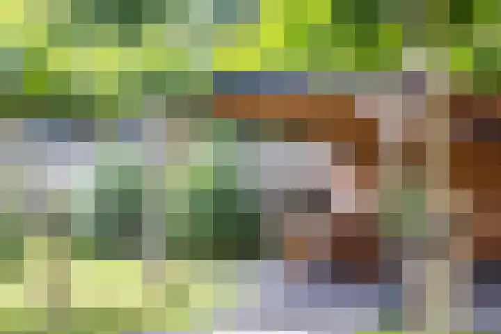 Kaleweg 9 Opende thumbnail 63