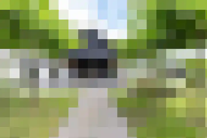 Kaleweg 9 Opende thumbnail 66