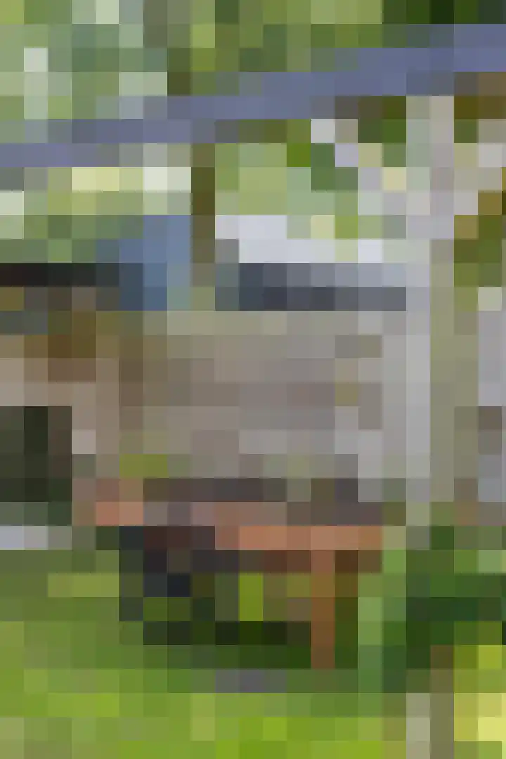 Kaleweg 9 Opende thumbnail 68