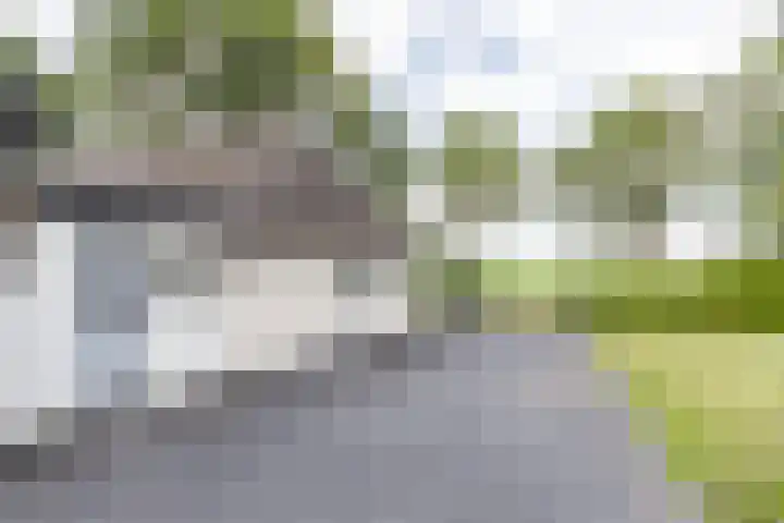 Kaleweg 9 Opende thumbnail 7