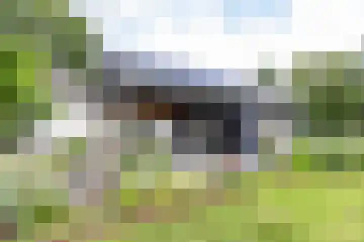 Kaleweg 9 Opende thumbnail 70