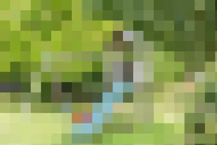 Kaleweg 9 Opende thumbnail 76