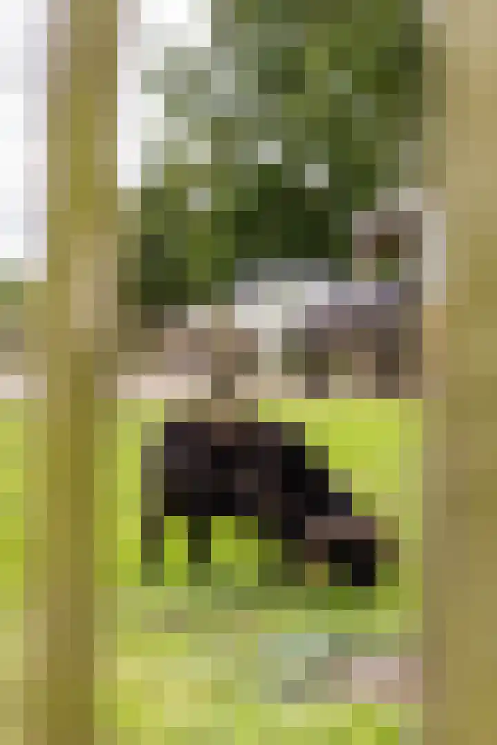 Kaleweg 9 Opende thumbnail 85