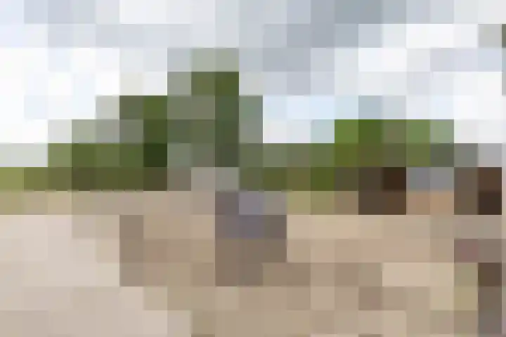 Kaleweg 9 Opende thumbnail 89