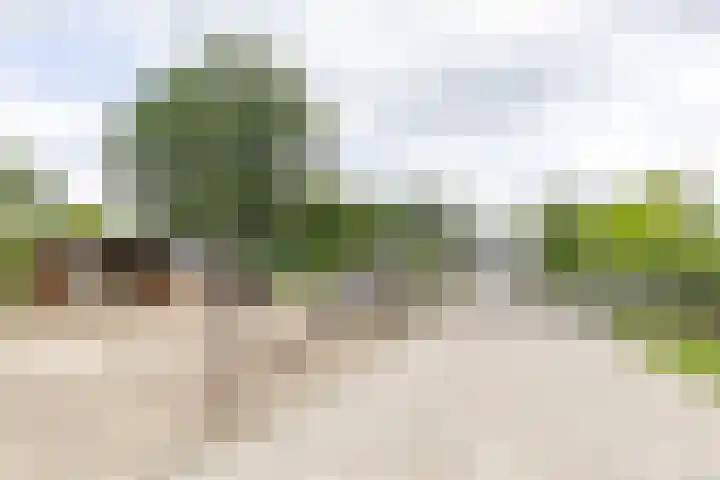 Kaleweg 9 Opende thumbnail 90