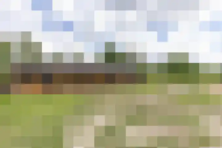 Kaleweg 9 Opende thumbnail 92