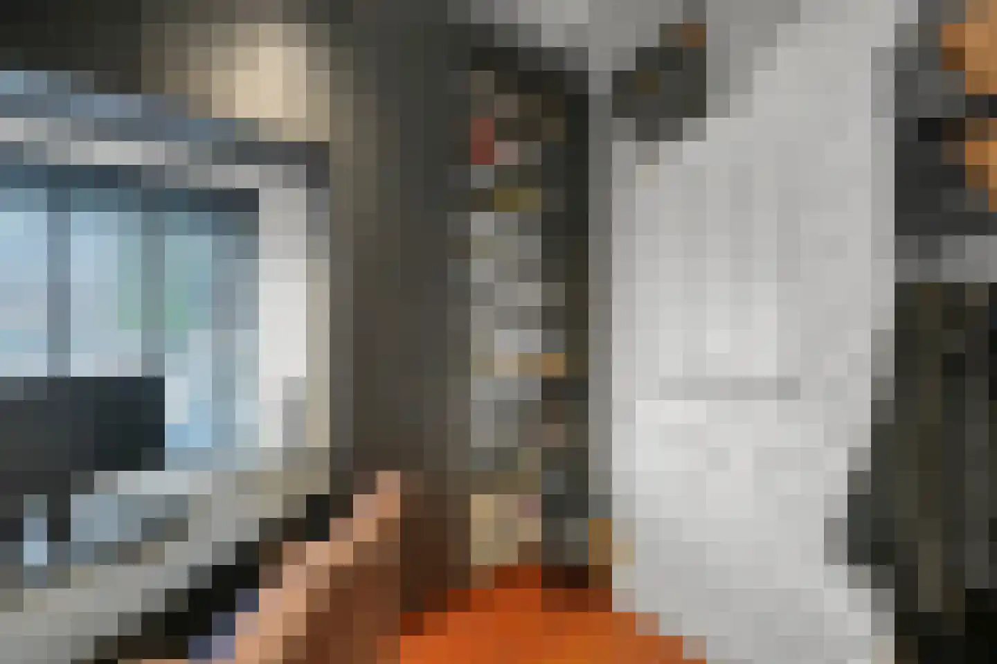 Kalf 100 Zaandam thumbnail 19