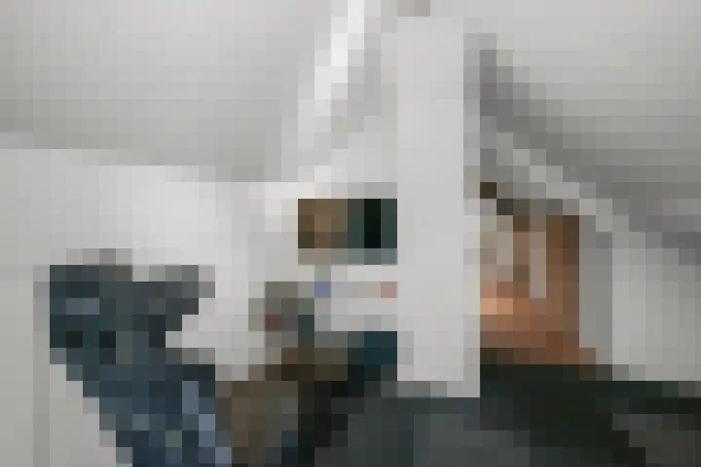 Kalf 100 Zaandam thumbnail 33