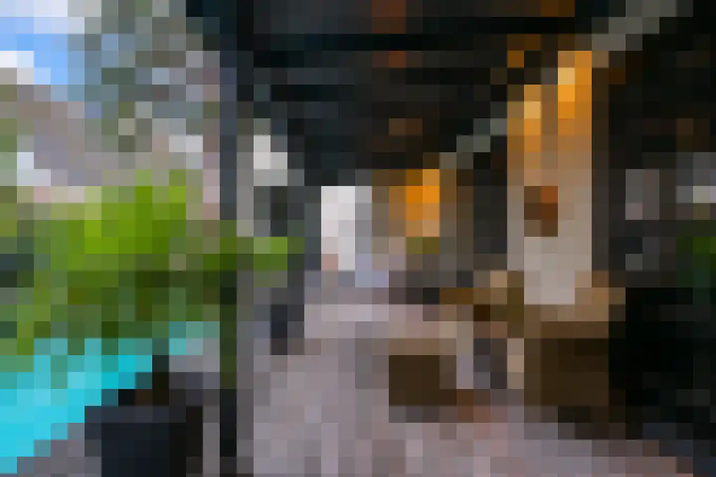Kalf 100 Zaandam thumbnail 35