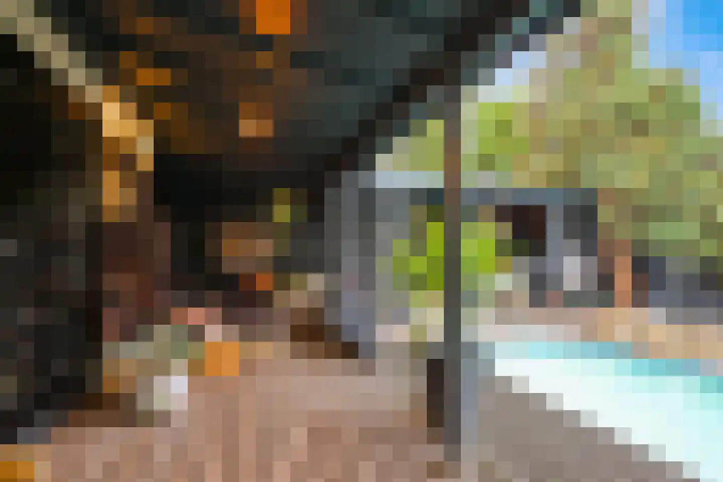 Kalf 100 Zaandam thumbnail 36