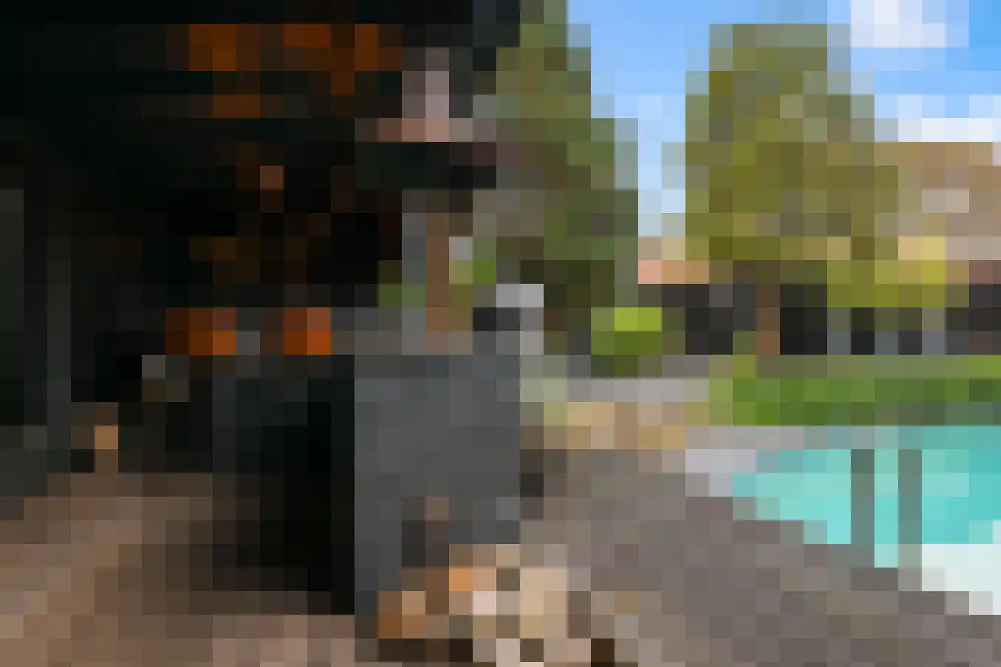 Kalf 100 Zaandam thumbnail 38