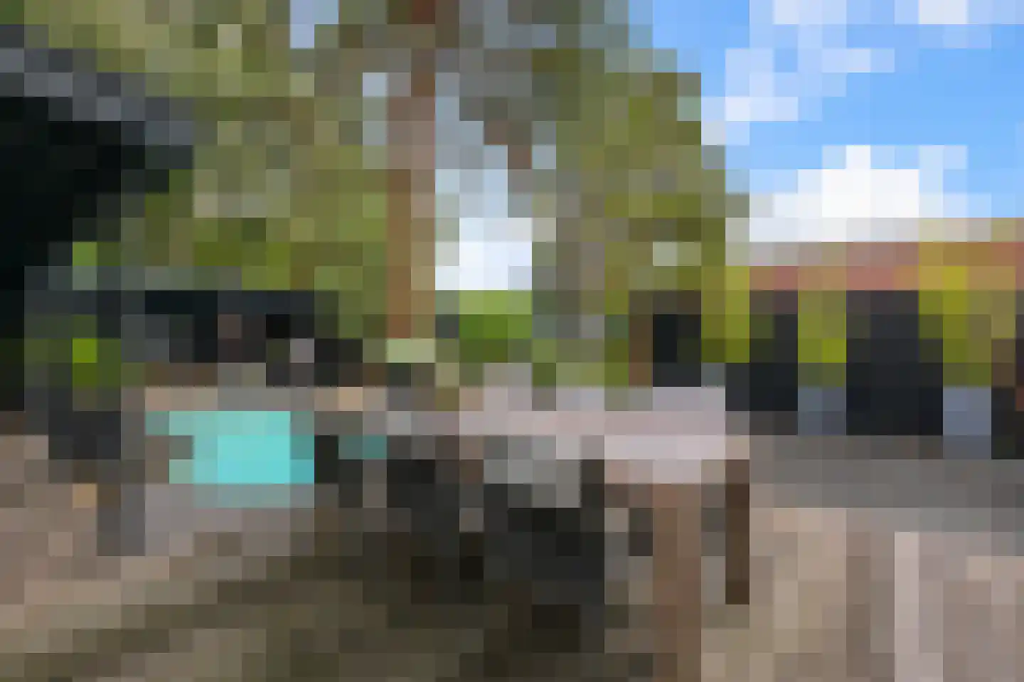 Kalf 100 Zaandam thumbnail 39