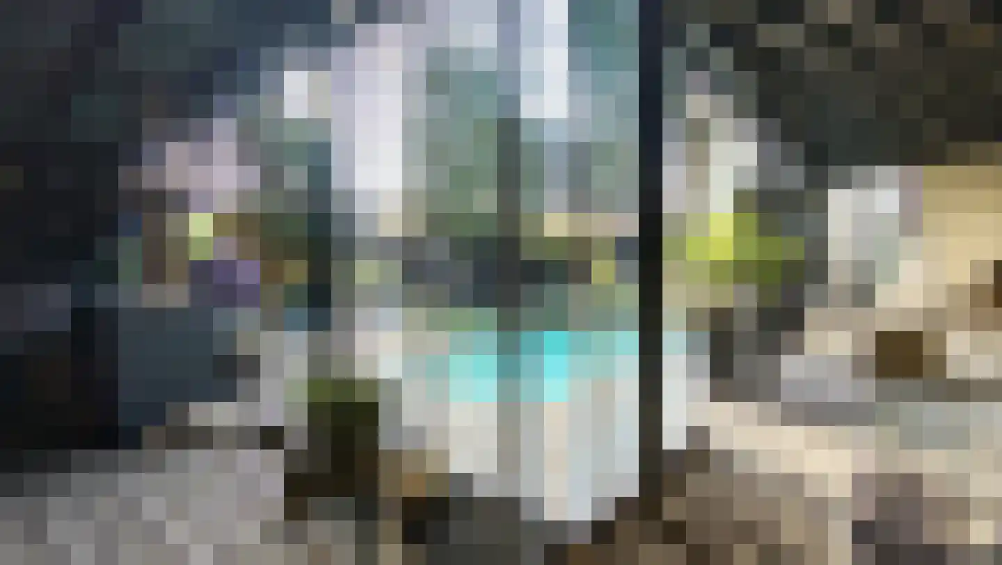 Kalf 100 Zaandam thumbnail 44
