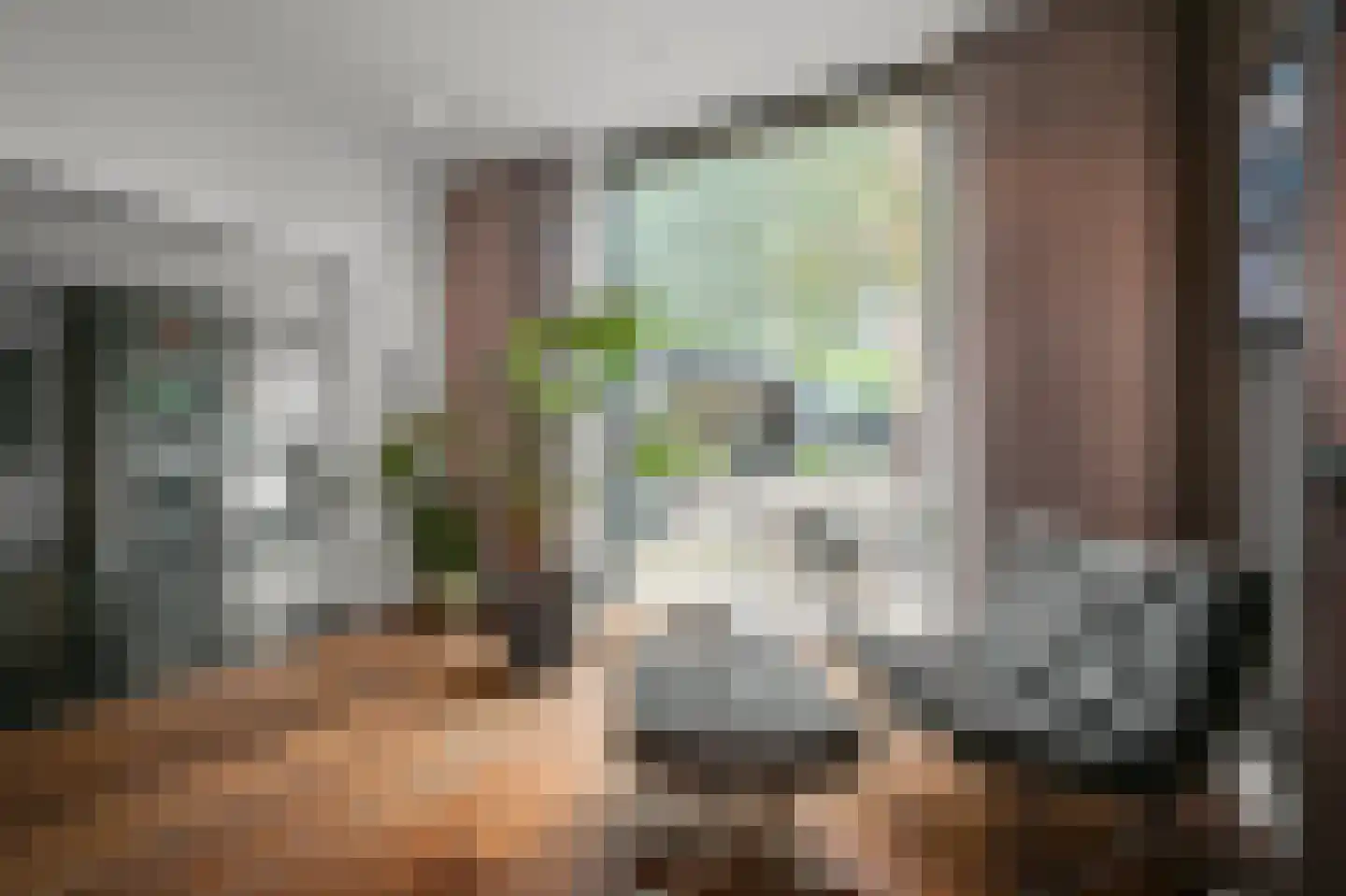 Kalf 100 Zaandam thumbnail 6