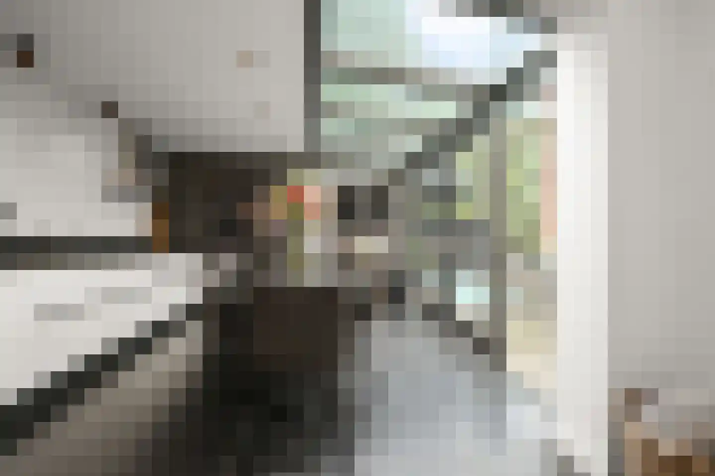 Kalf 100 Zaandam thumbnail 7