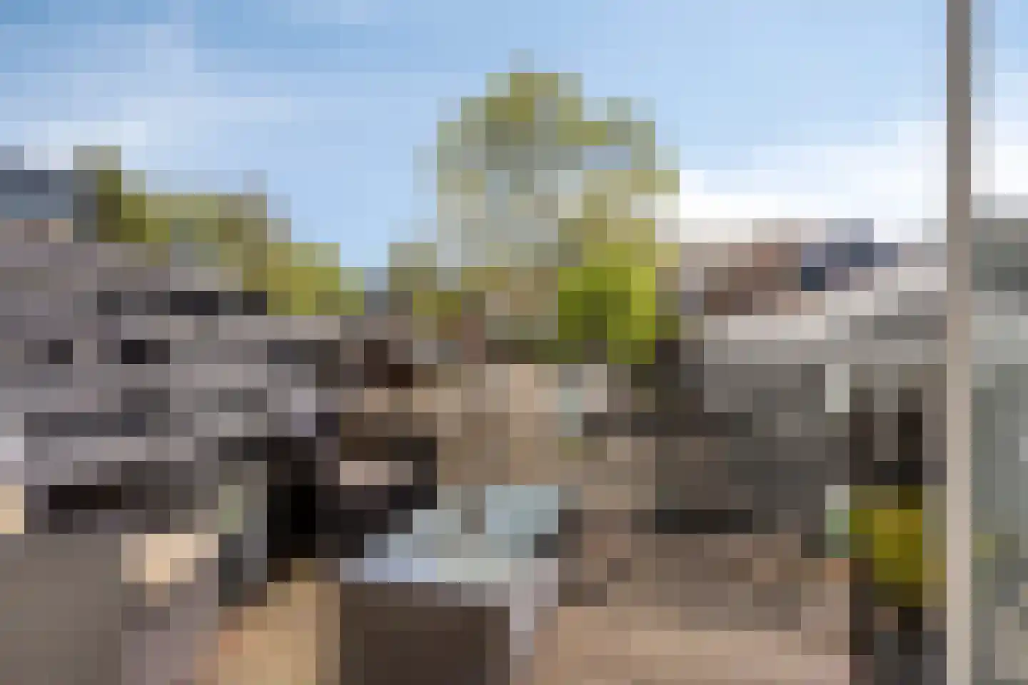 Kalf 182 D Zaandam thumbnail 11