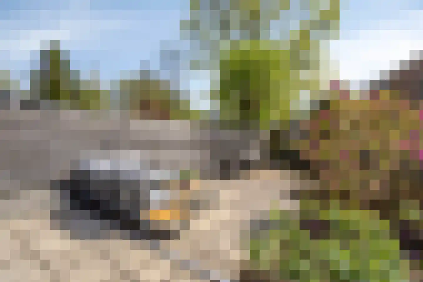 Kalf 182 D Zaandam thumbnail 13