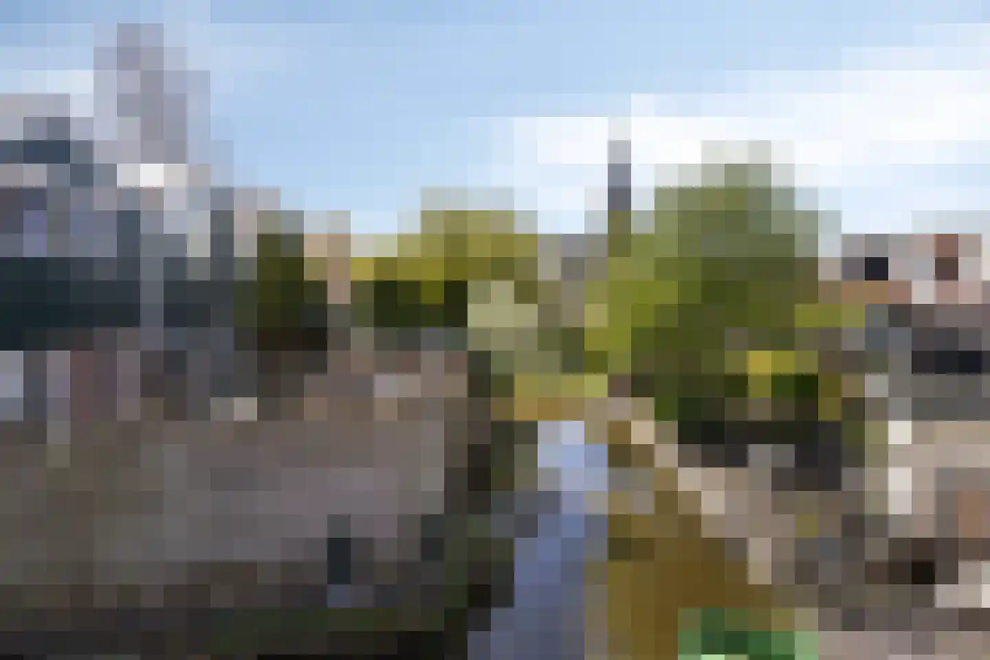 Kalf 182 D Zaandam thumbnail 18