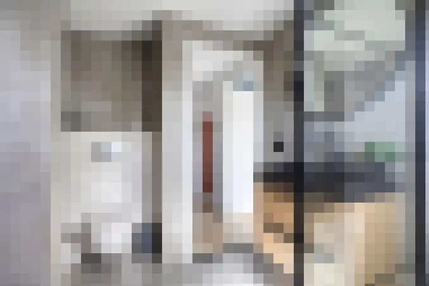 Kalf 182 D Zaandam thumbnail 23