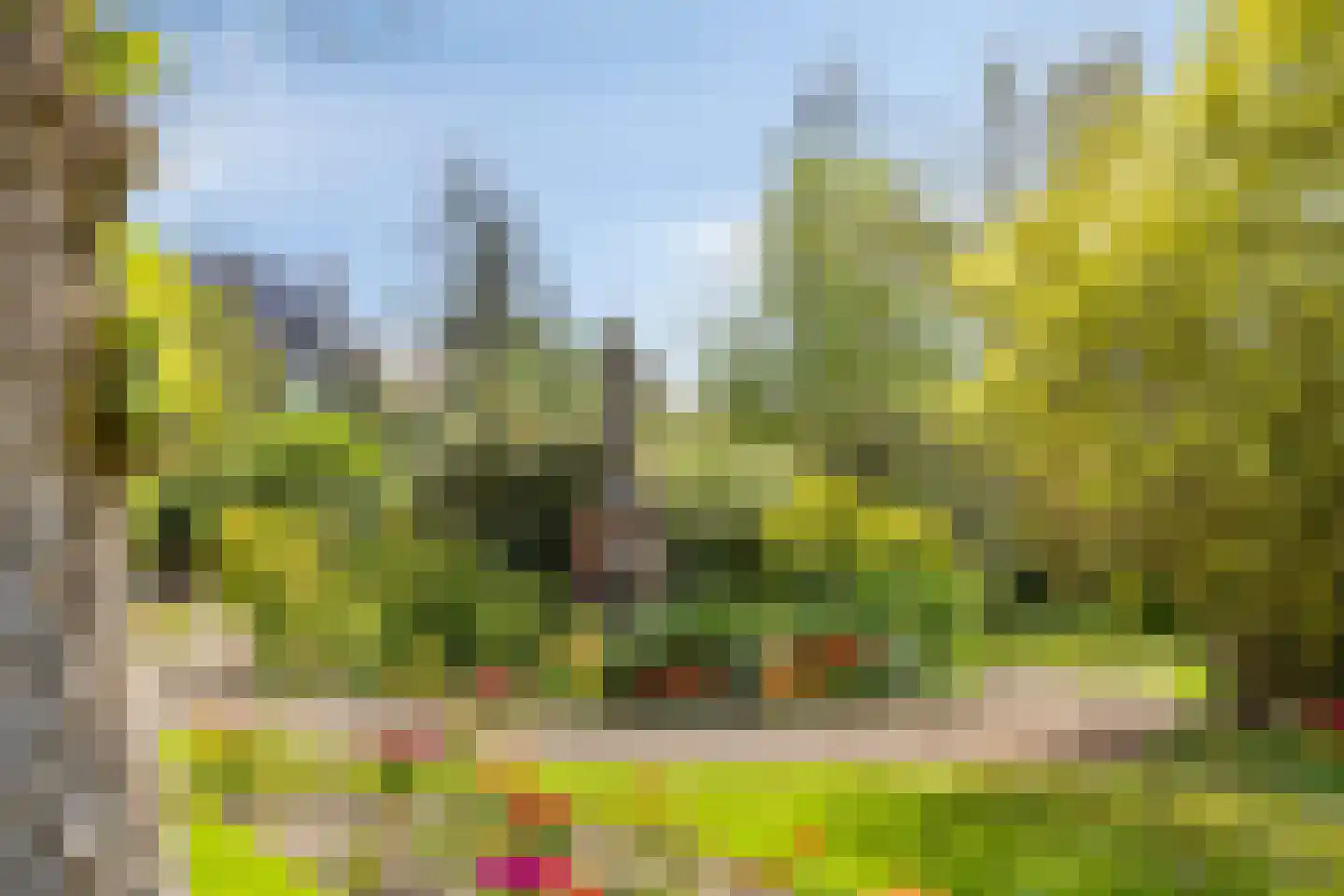 Kalf 182 D Zaandam thumbnail 32