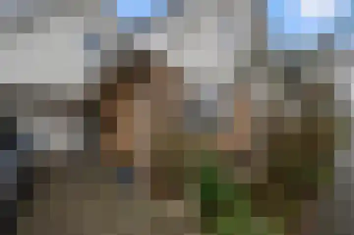 Kalf 192 A Zaandam thumbnail 38