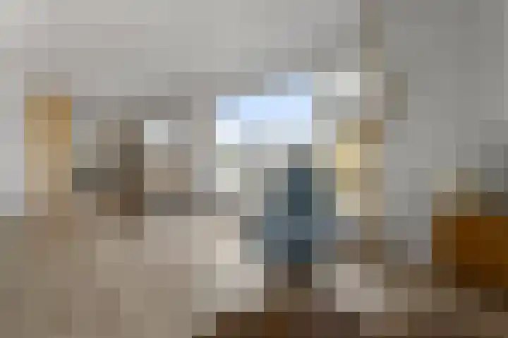 Kalf R 18 ROOD Zaandam thumbnail 13