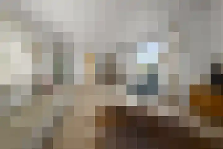 Kalf R 18 ROOD Zaandam thumbnail 14