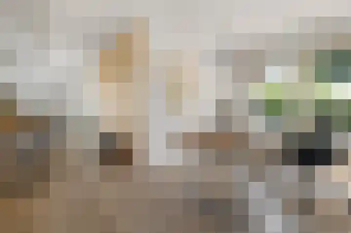 Kalf R 18 ROOD Zaandam thumbnail 18