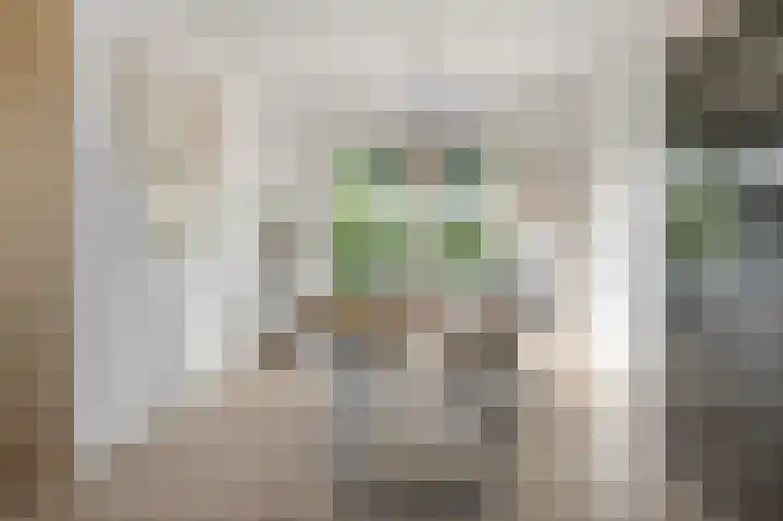 Kalf R 18 ROOD Zaandam thumbnail 19