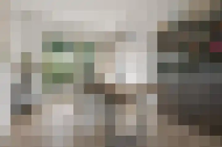 Kalf R 18 ROOD Zaandam thumbnail 20