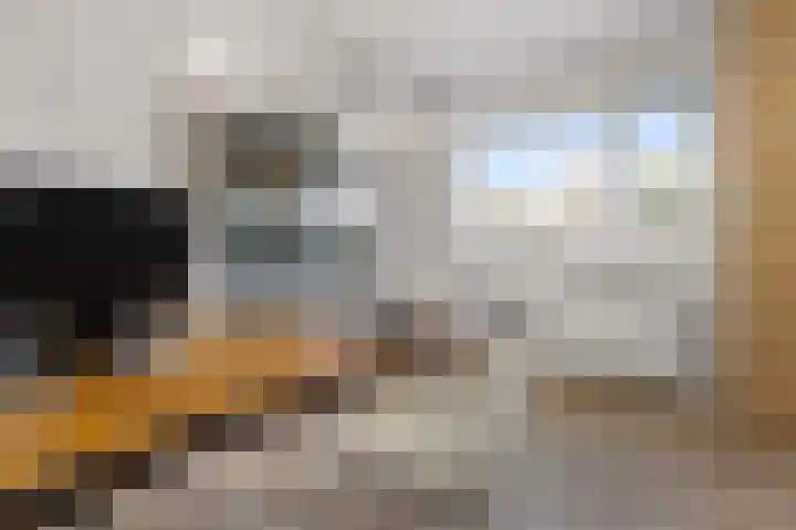Kalf R 18 ROOD Zaandam thumbnail 22