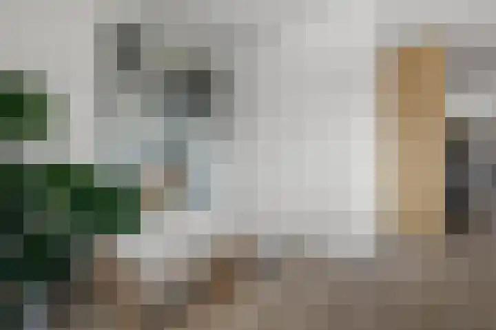 Kalf R 18 ROOD Zaandam thumbnail 29