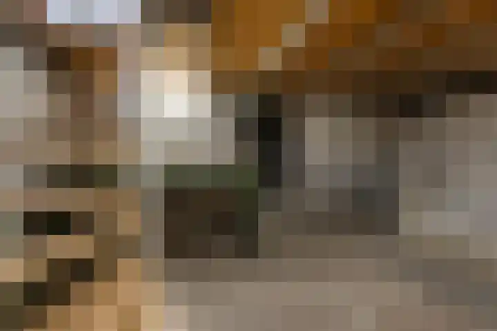 Kalf R 18 ROOD Zaandam thumbnail 34