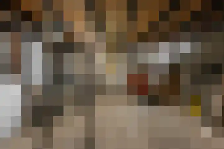 Kalf R 18 ROOD Zaandam thumbnail 36