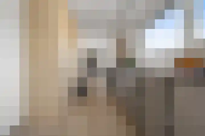 Kalf R 18 ROOD Zaandam thumbnail 4