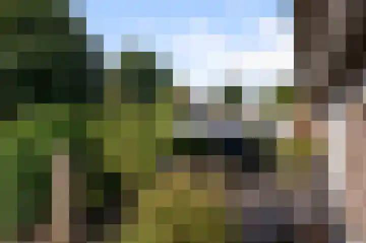 Kalf R 18 ROOD Zaandam thumbnail 43