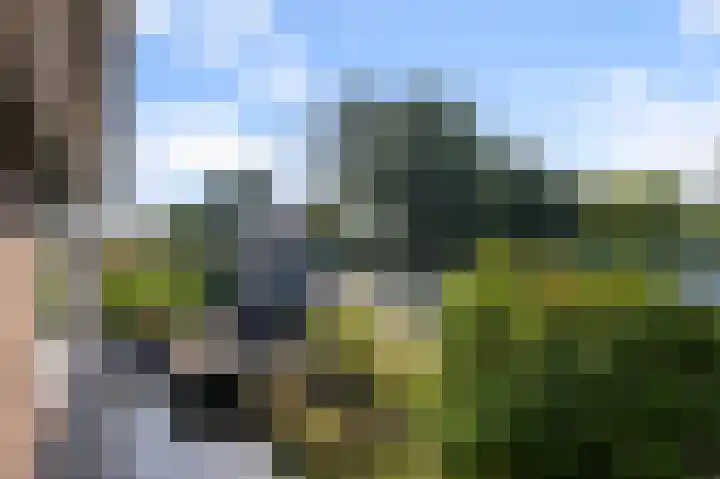Kalf R 18 ROOD Zaandam thumbnail 44