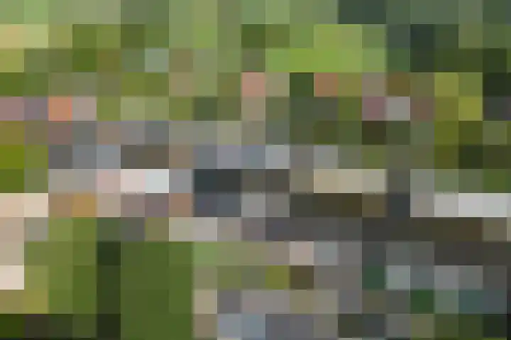 Kalf R 18 ROOD Zaandam thumbnail 48