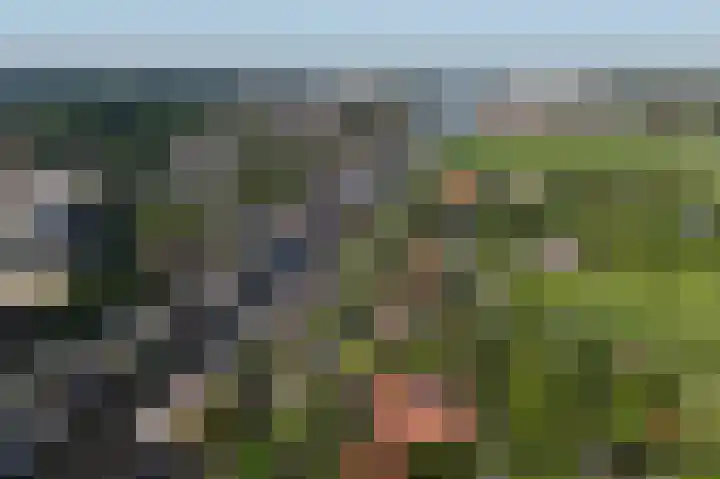 Kalf R 18 ROOD Zaandam thumbnail 50