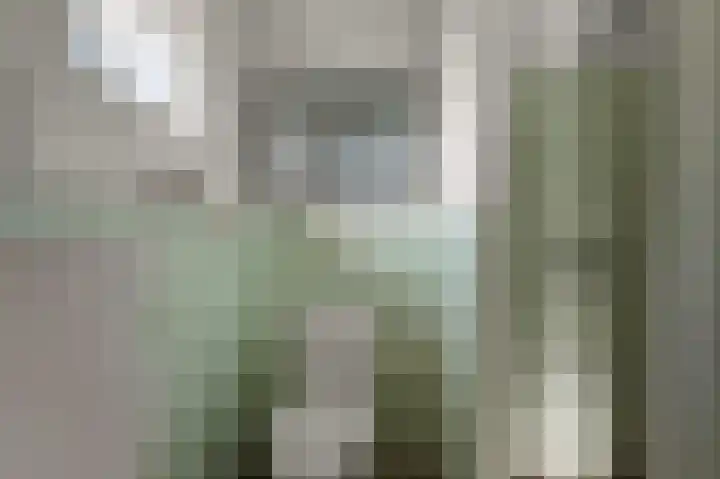 Kalf R 18 ROOD Zaandam thumbnail 6