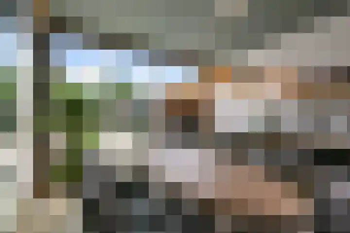 Kalf R 5 ROOD Zaandam thumbnail 14