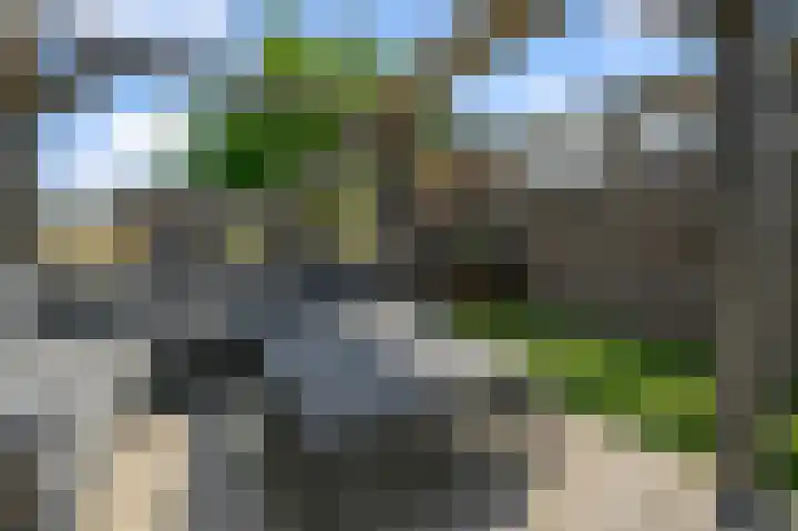 Kalf R 5 ROOD Zaandam thumbnail 28